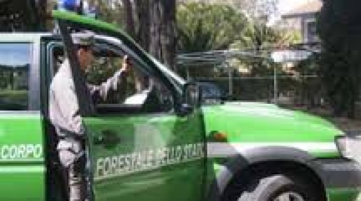 Corpo Forestale dello Stato