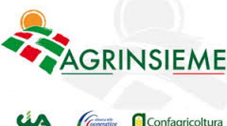 Agrinsieme logo