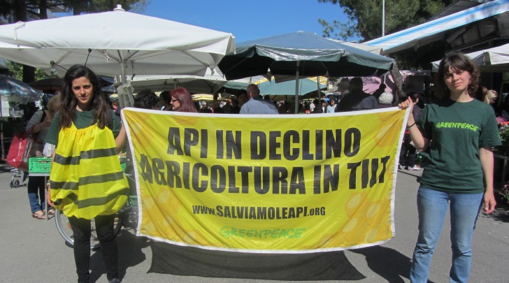 Greenpeace: Api Attiviste al Mercato di Montesilvano