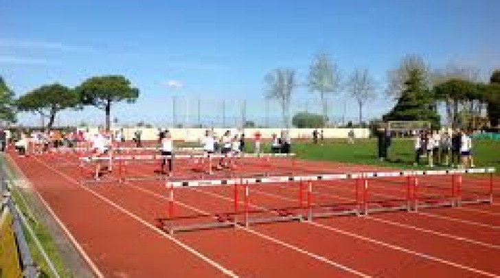 Campionati studenteschi di atletica leggera