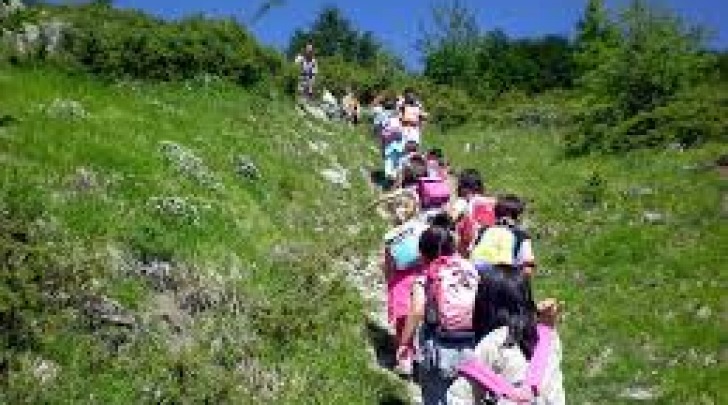 campi estivi