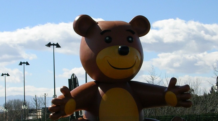 Orso ne parco Centro d'Abruzzo