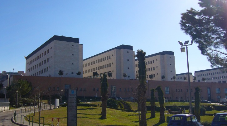 L'Università "Gabriele D'Annunzio"