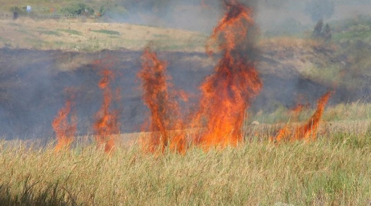 Incendio sterpaglie