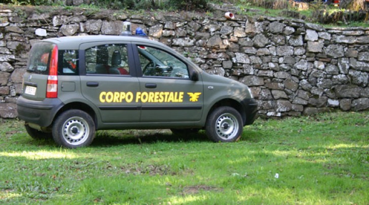 Corpo Forestale dello Stato