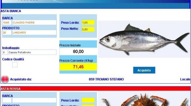 e-fish app pescara