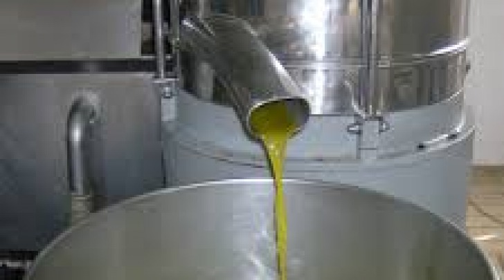 Produzione olio d'oliva