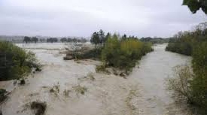 Il torrente Saline nel novembre 2013