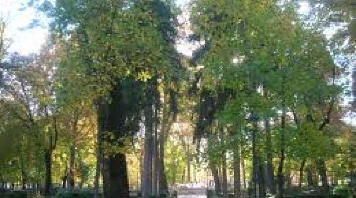 Il parco ex Arssa di Avezzano