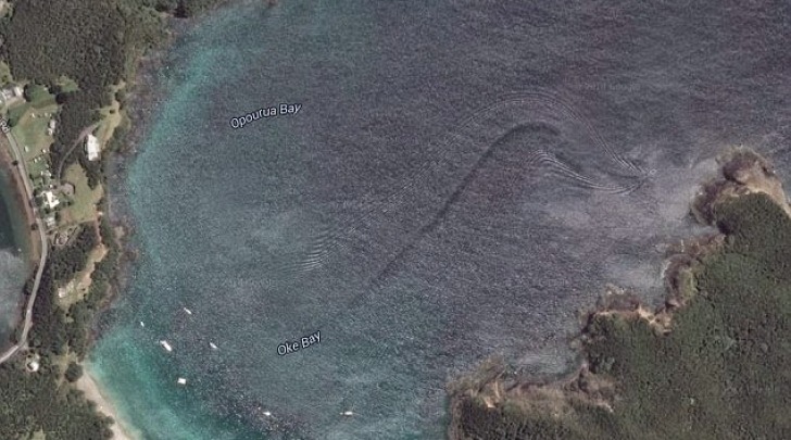 Il mostro marino immortalato da Google Earth