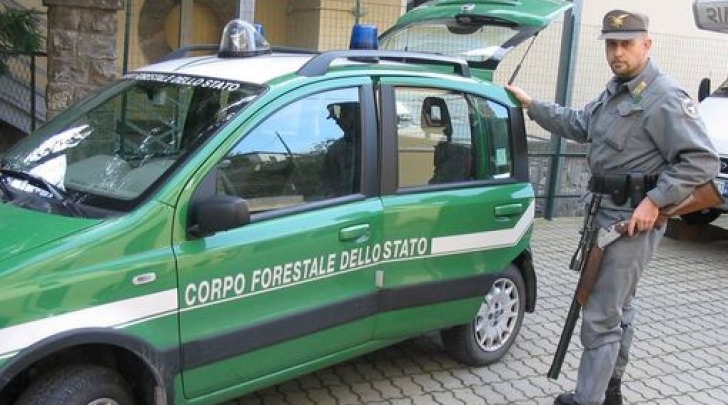 Operazione terre d'oro