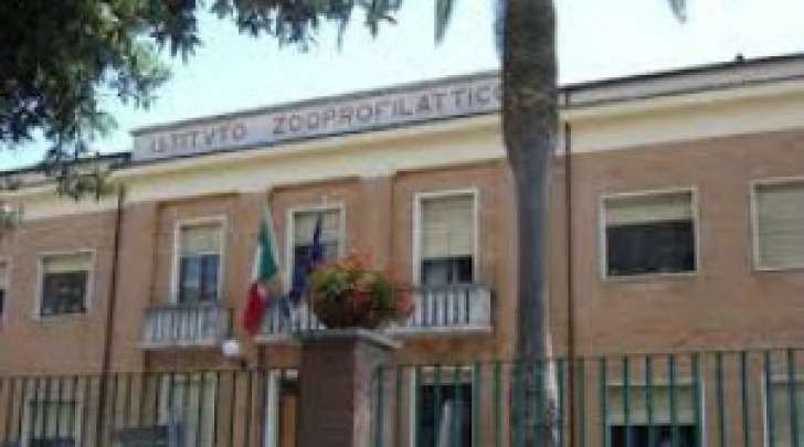 Istituto zooprofilattico teramo