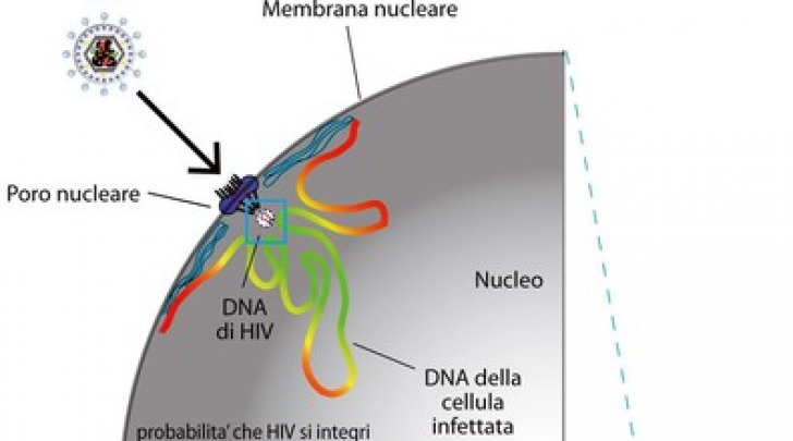 Mauro Giacca Icgeb