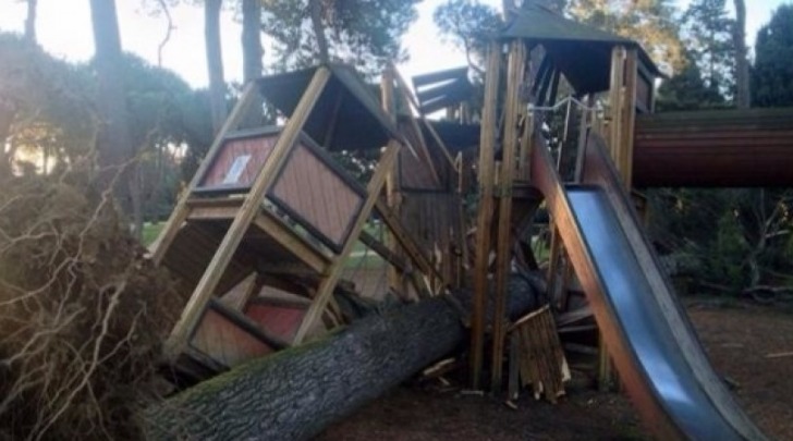 Caduta alberi su parco giochi