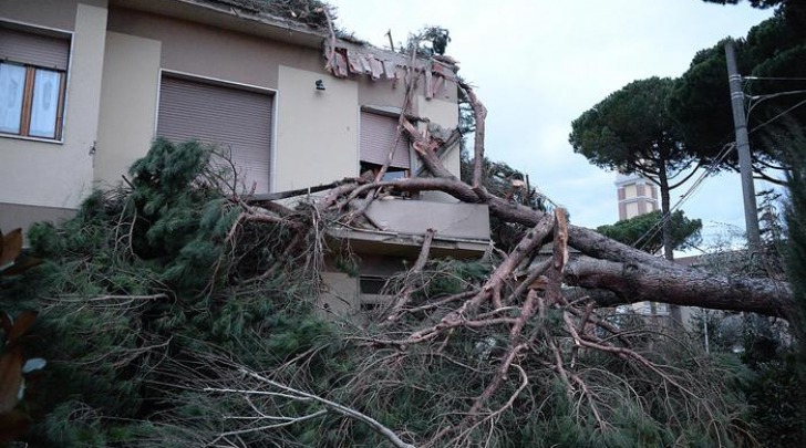 Danni provocati dal forte vento a Ponsacco (Pisa)