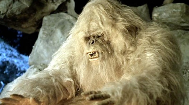 Yeti