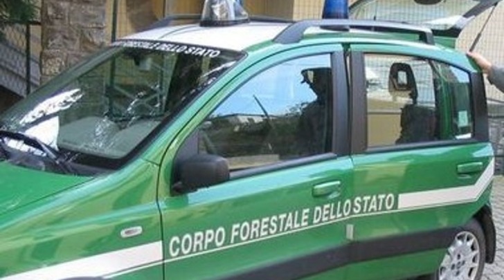 Corpo Forestale dello Stato