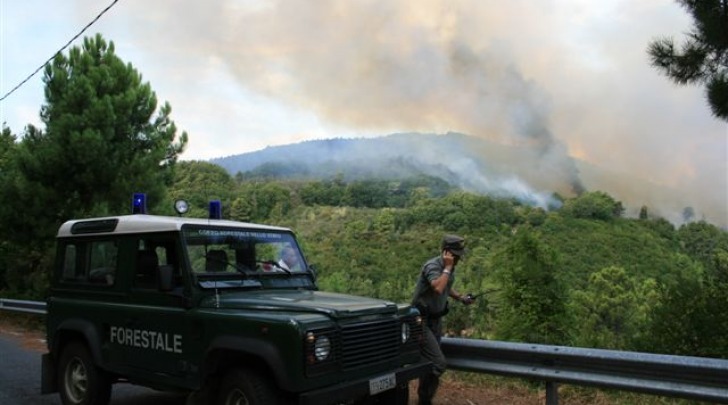 Corpo Forestale dello Stato, allarme incendio