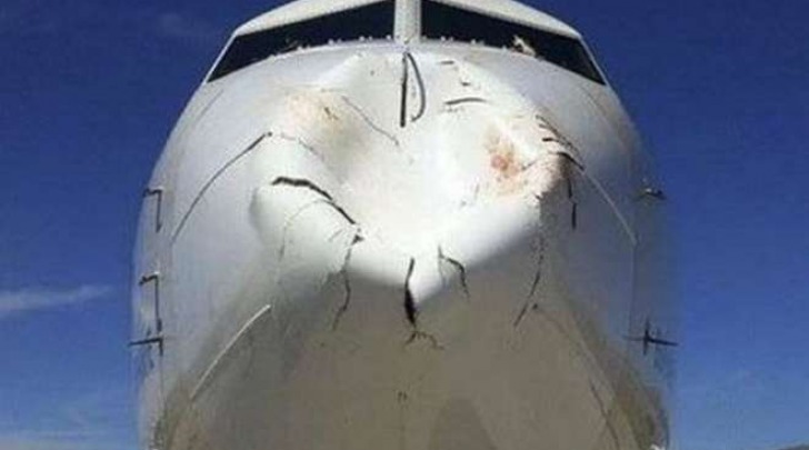 L'aereo della Turkish Airlines che si &egrave; scontrato in vola con un uccello (Twitter/Flight-repo