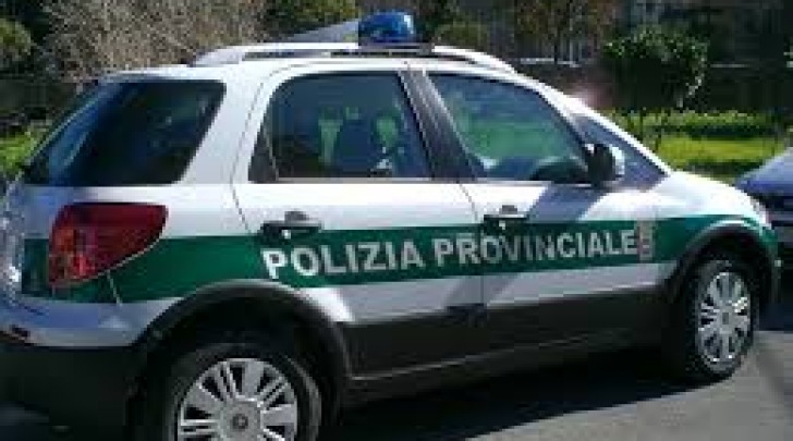 polizia provinciale pe