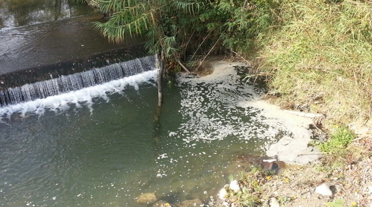 foto da WWF Abruzzo