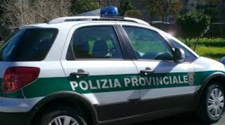 Polizie Provinciali