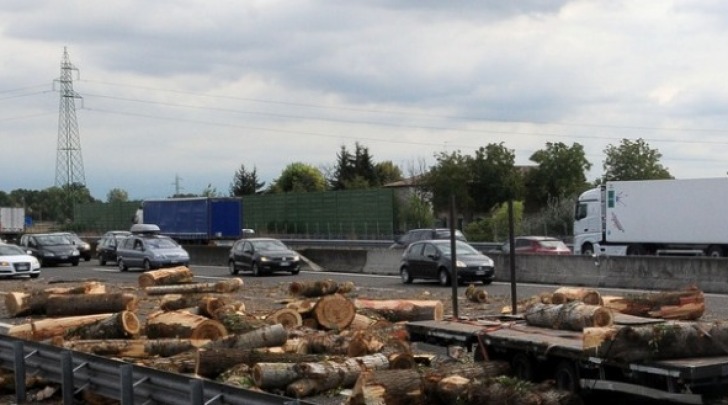Camion perde tronchi, caos sull'autostrada Milano-Varese
