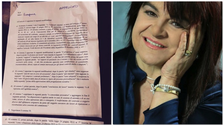 Stefania Pezzopane, Emendamenti Approvati