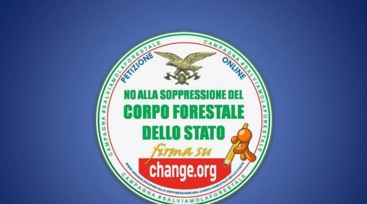 no scioglimento forestale