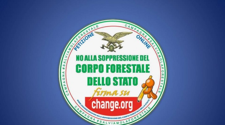 no scioglimento forestale