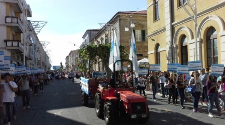 carro no-ombrina, foto da ansa