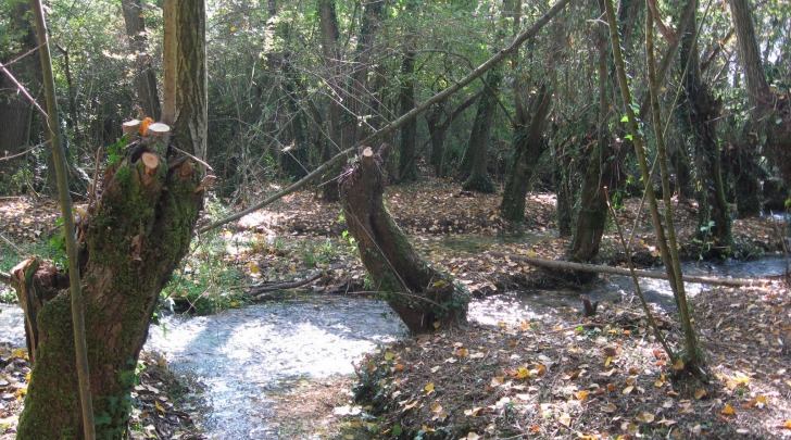 Fiume Vera