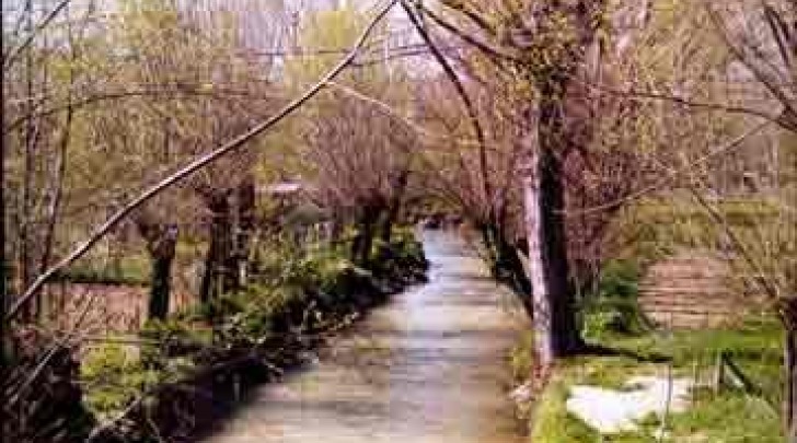 Particolare fiume Aterno