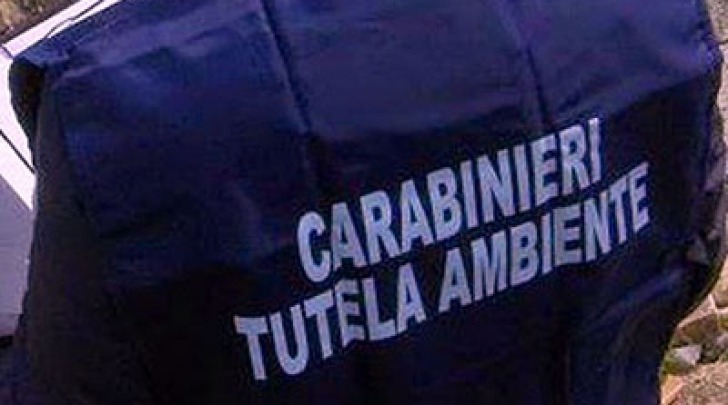 Carabinieri Noe