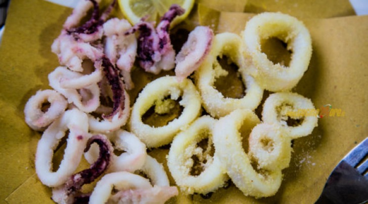 Frittura di Calamari Salutare