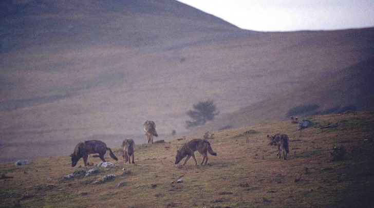 Foto fornita da Ufficio stampa Parco di Damiani