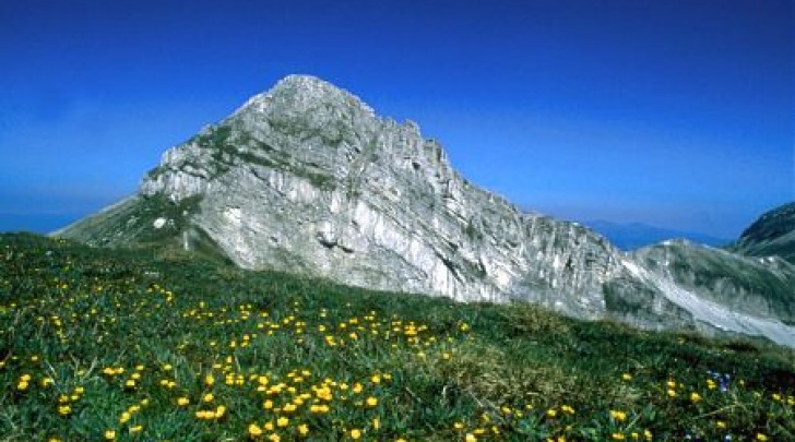 Pizzo Cefalone