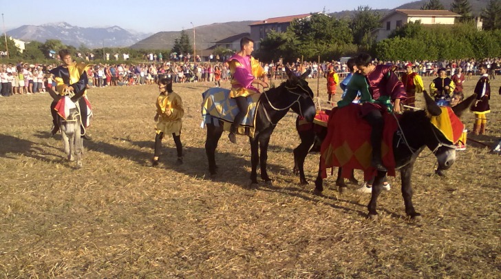 Un momento del Palio degli Asini di ieri