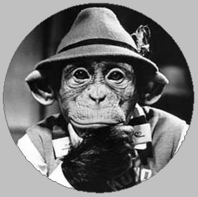 Lettera aperta alla presunta contro informazione - Cronaca L'Aquila ...