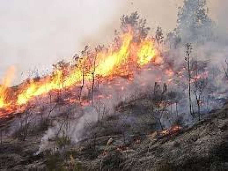 3 incendi oggi in Abruzzo, distrutti 8 ettari di ...