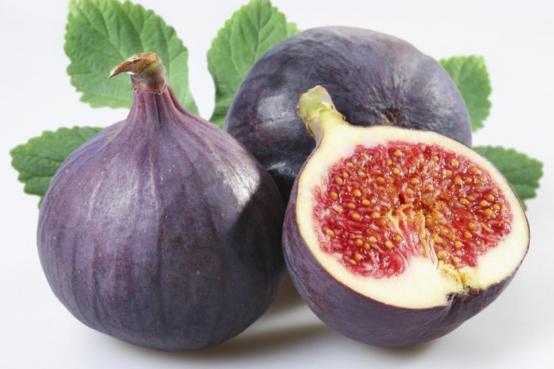 I Vegetariani non Mangiano Fichi ed il Motivo è Meglio che non lo Sappiate... Cronaca I Vegetariani non Mangiano Fichi ed il Motivo è Meglio che non lo Sappiate... Cronaca