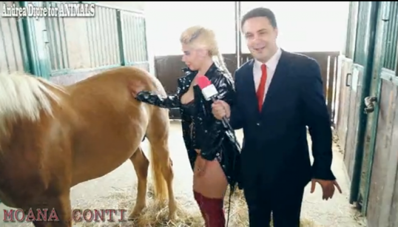 pamela neri porno pamela neri porno