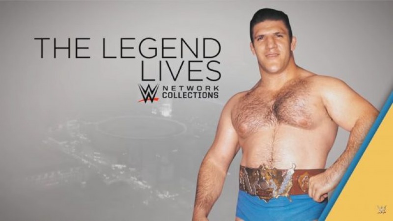 Unbeaten Streaks in the World of Pro Wrestling and UFC Unbeaten Streaks in the World of Pro Wrestling and UFC