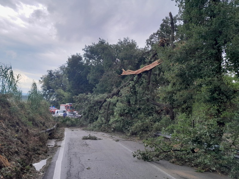 emergenza abruzzo grandine devastante distrugge vigneti ulivi frutta e infrastrutture costiere