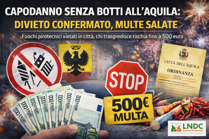 5008364 se ti beccano a sparare botti a capodanno la citt224 con la sanzione pesantissima