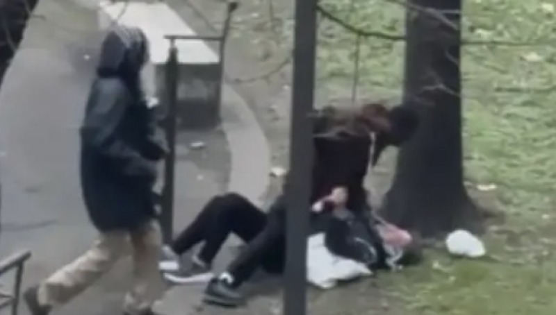 rissa nel parco di santa caterina video virale riaccende l8217allarme sicurezza cittadina