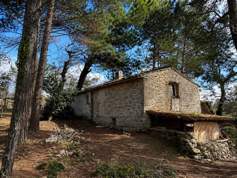 famiglia nel bosco nuova casa green pillon accelera per riportare i figli da Abruzzo24ore.tv famiglia nel bosco nuova casa green pillon accelera per riportare i figli