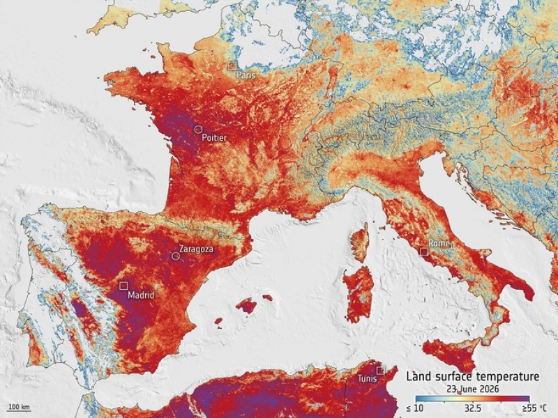 europa rovente il suolo sfiora i 50 gradi allarme dai satelliti europei