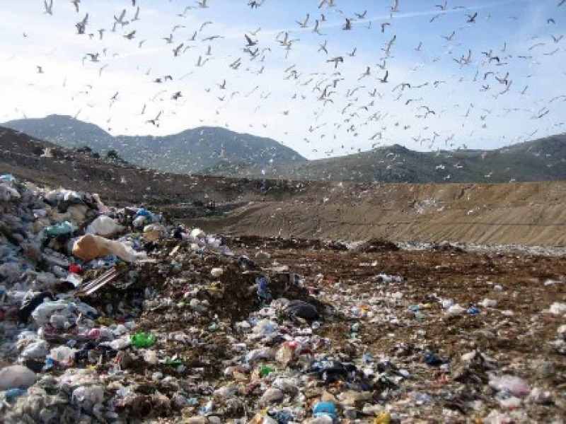 Come Sono Stati Spesi I 10 Milioni Per Creare Alternative Alla come-sono-stati-spesi-i-10-milioni-per-creare-alternative-alla