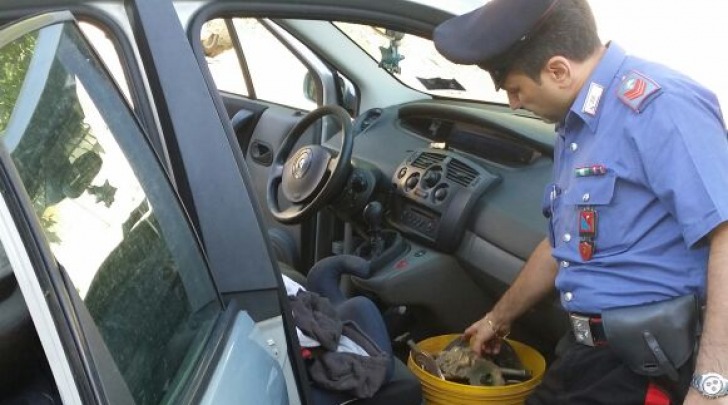 foto arma carabinieri